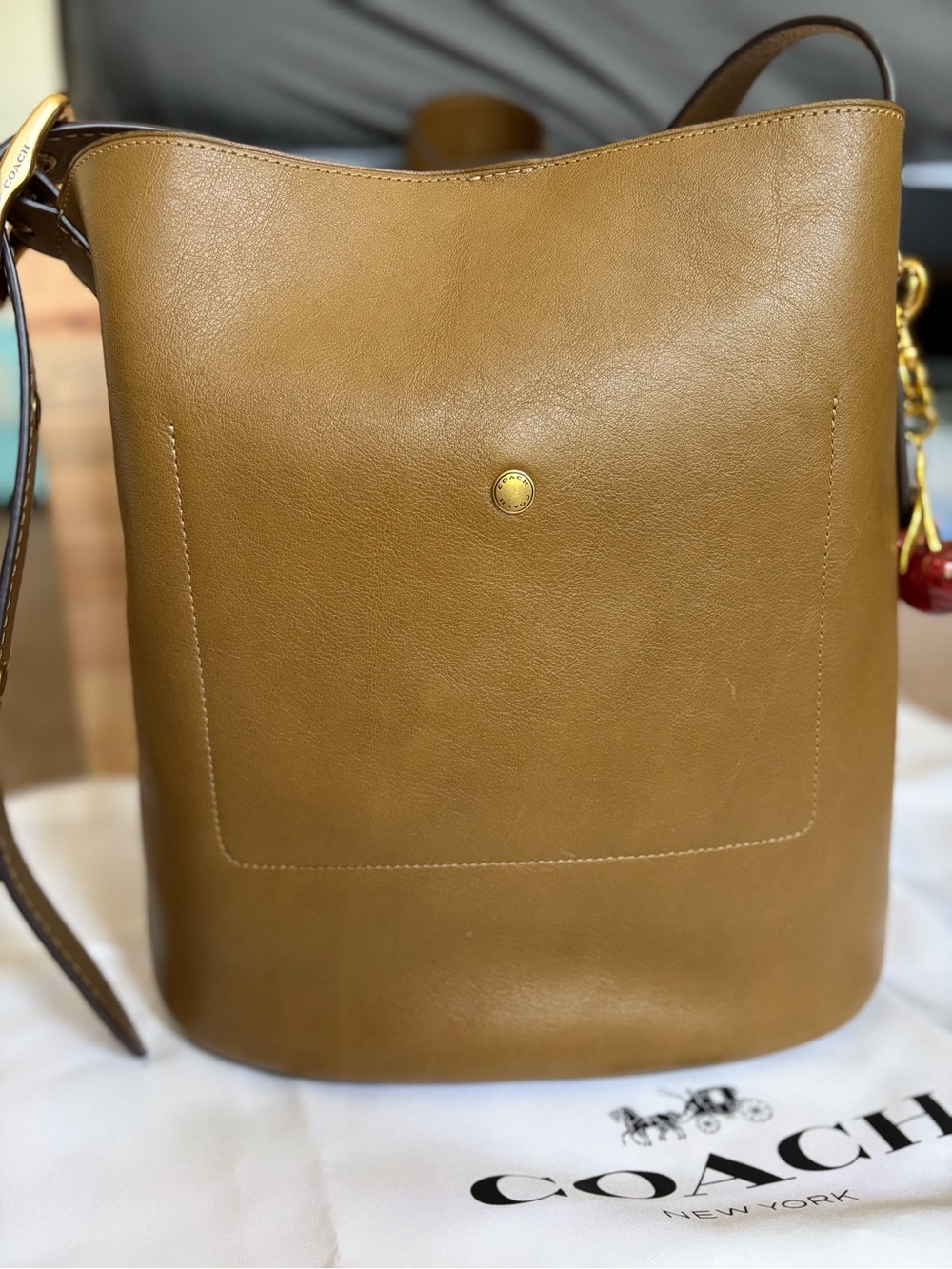 Coach Bleecker Bucket Bag Crossbody Smooth Leather/Brass/Muted Olive-Large Size - Picture 3 of 10